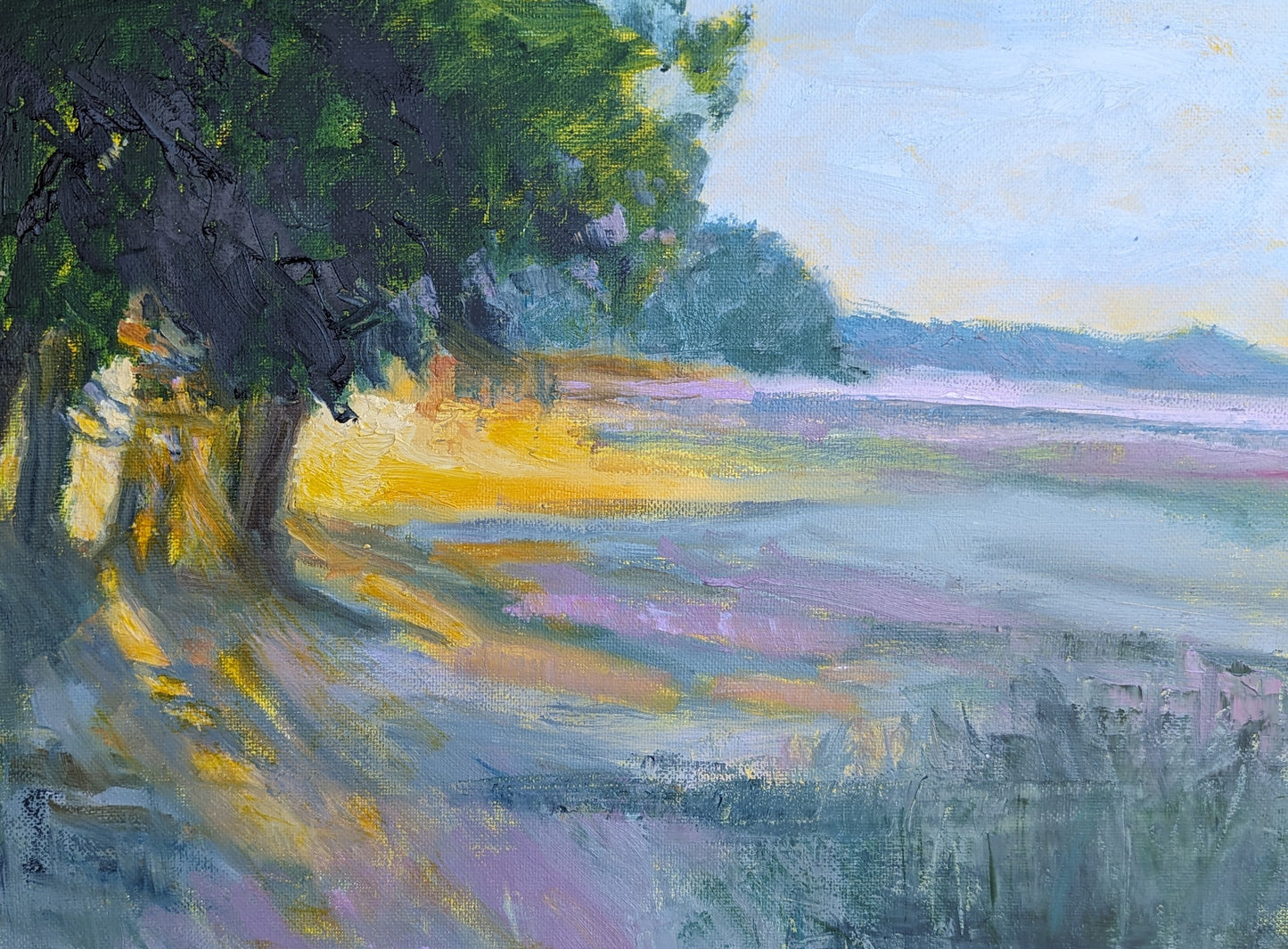 Sunlight Through Trees