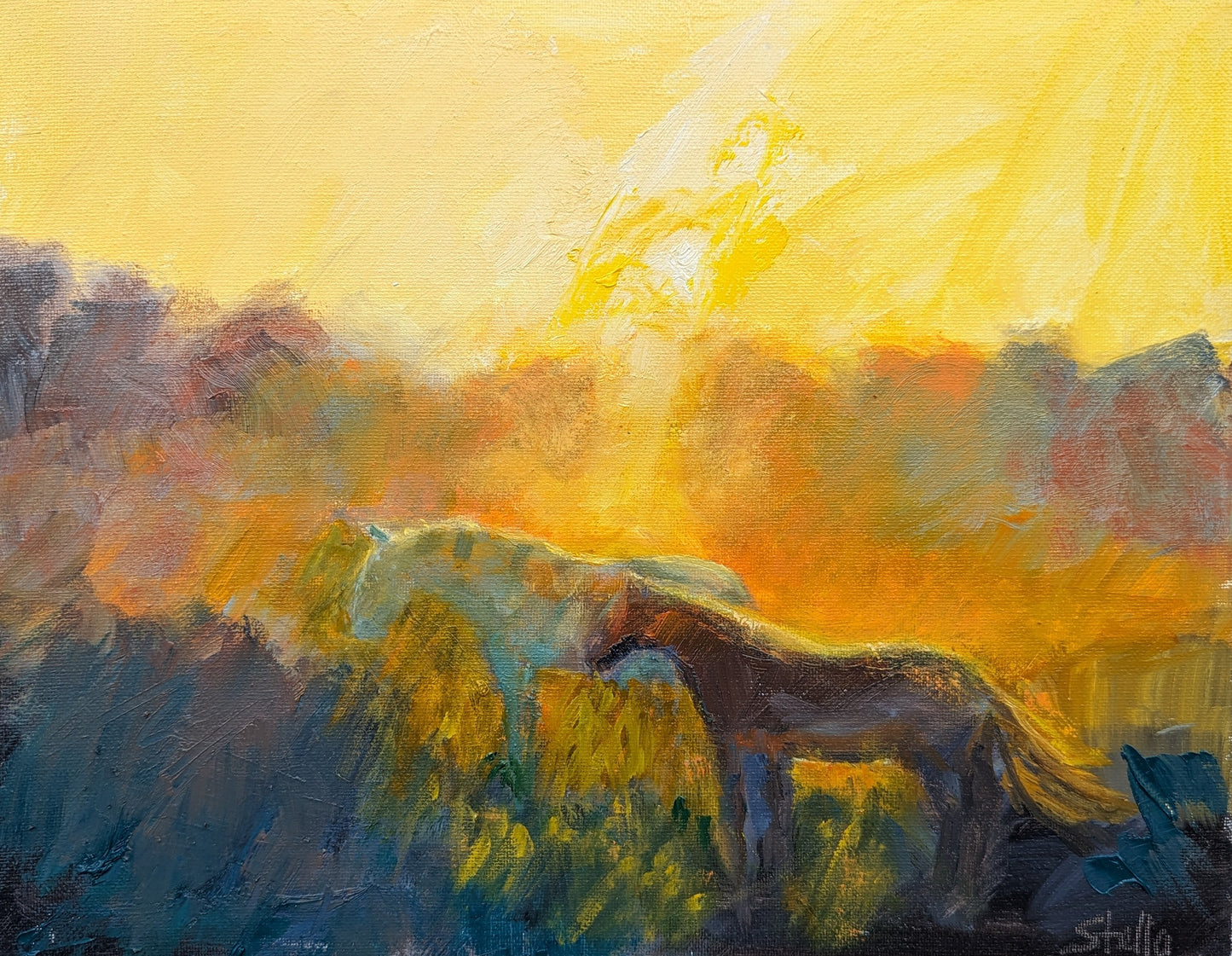 Sunset Horses
