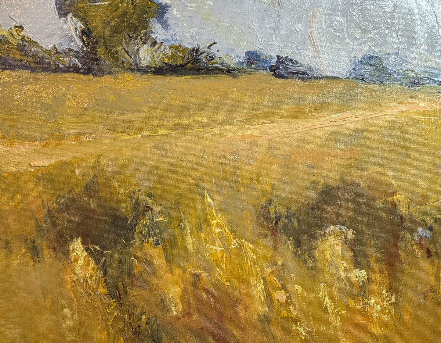 Resting Field
