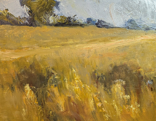 Resting Field